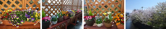 季節の花々を植えた庭で憩いの時間を!